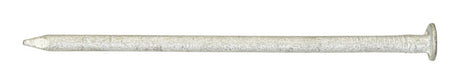 Ace 16D 3-1/2 in. Box Hot-Dipped Galvanized Steel Nail Flat Head
