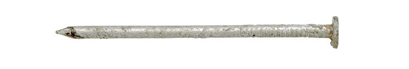 Ace 8D 2-1/2 in. Box Hot-Dipped Galvanized Steel Nail Flat Head 5 lb