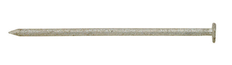 Ace 16D 3-1/2 in. Box Hot-Dipped Galvanized Steel Nail Flat Head 5 lb