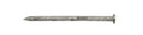 Ace 6D 2 in. Common Hot-Dipped Galvanized Steel Nail Flat Head 5 lb