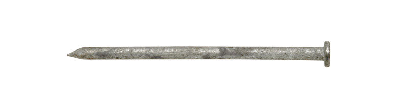 Ace 6D 2 in. Common Hot-Dipped Galvanized Steel Nail Flat Head 5 lb