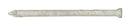 Ace 8D 2-1/2 in. Finishing Hot-Dipped Galvanized Steel Nail Countersunk Head 1 lb