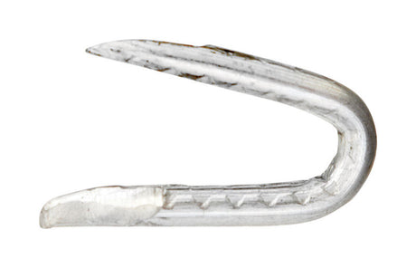 Ace 0.25 in. W X 1-3/4 in. L Galvanized Steel Fence Staples 1 lb