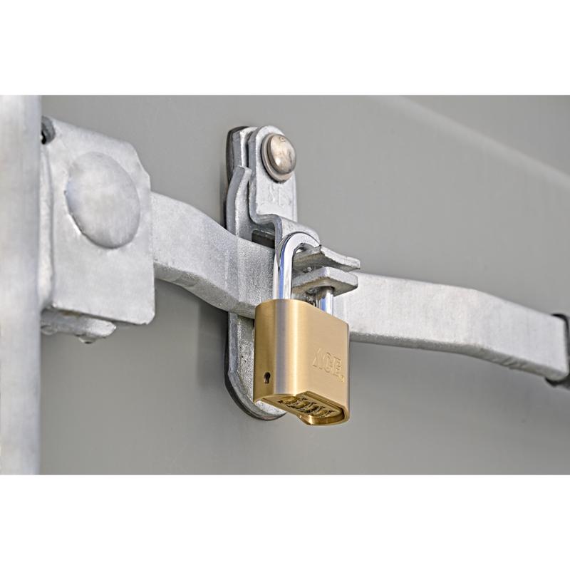 Ace 1-11/16 in. H X 2 in. W X 1-7/8 in. L Brass 4-Dial Combination Padlock