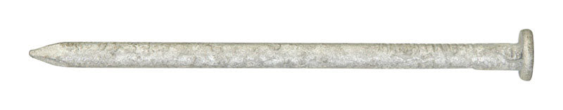 Ace 6D 2 in. Common Hot-Dipped Galvanized Steel Nail Flat Head 1 lb