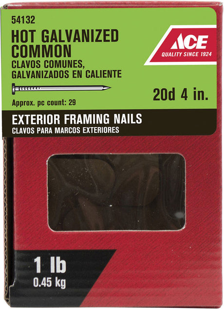 ACE COMMON NAIL20DF 4"1#