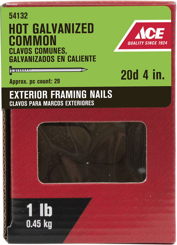 Ace 20D 4 in. Common Hot-Dipped Galvanized Steel Nail Flat Head 1 lb