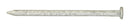 Ace 20D 4 in. Common Hot-Dipped Galvanized Steel Nail Flat Head 1 lb