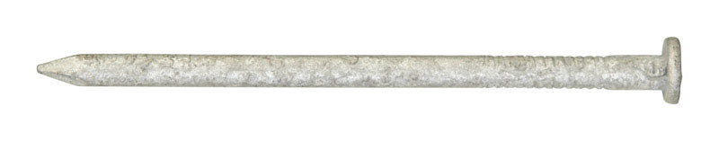 Ace 20D 4 in. Common Hot-Dipped Galvanized Steel Nail Flat Head 1 lb