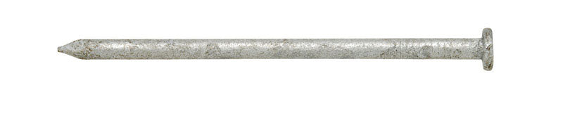 Ace 10D 3 in. Common Hot-Dipped Galvanized Steel Nail Flat Head 5 lb