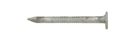 Ace 1-1/4 in. Joist Hanger Hot-Dipped Galvanized Steel Nail Flat Head 5 lb