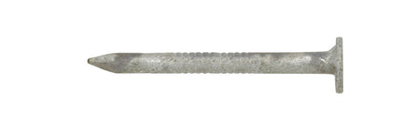 Ace 1-1/2 in. Joist Hanger Hot-Dipped Galvanized Steel Nail Flat Head 5 lb