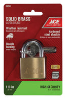 Ace 1-5/16 in. H X 1-1/2 in. W X 17/32 in. L Brass Double Locking Padlock