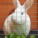 IronRidge 24 in. H X 15 ft. L Galvanized Steel Welded Wire Fence 1 in.