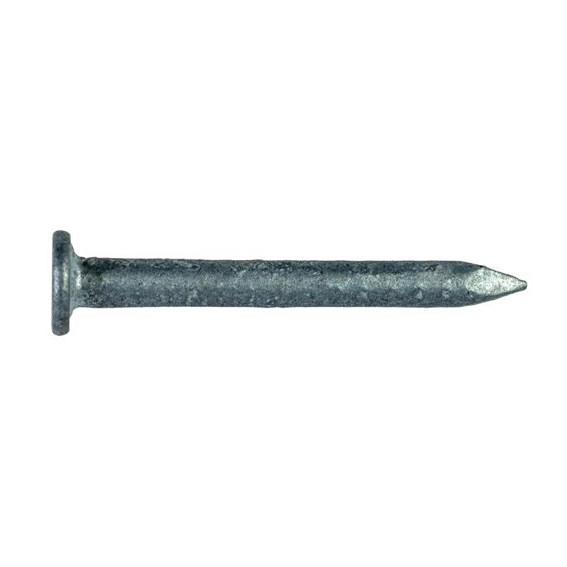 Simpson Strong-Tie 10D 1-1/2 in. Wood Joiner Hot-Dipped Galvanized Steel Nail Round Head 1 lb