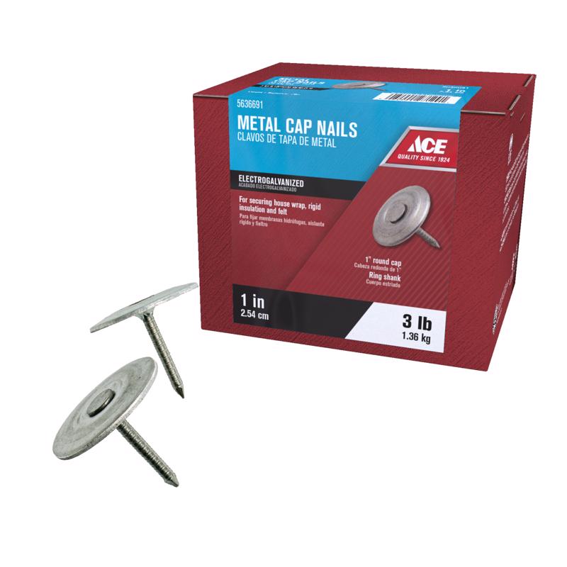 Ace 1 in. Roofing Electro-Galvanized Steel Nail Flat Head 1 lb