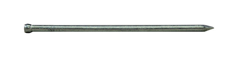 Pro-Fit 2 in. Trim Hot-Dipped Galvanized Nail Dimple Head 1 lb
