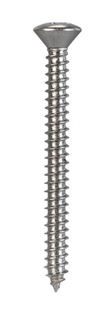 SCRW SM PH OH 10X2"BX100