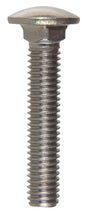 BOLT CARRAG 3/8X2" SS