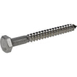 BOLT LAG 1/4X2-1/2" SS