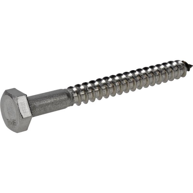 BOLT LAG 1/4X2-1/2" SS
