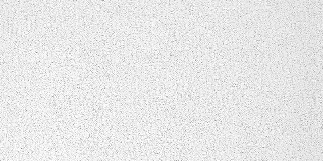 CEIL PANEL RADAR 4'X2'