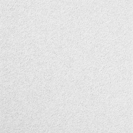 CEILING PANEL MARS 2'X2'