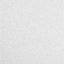 CEILING PANEL MARS 2'X2'