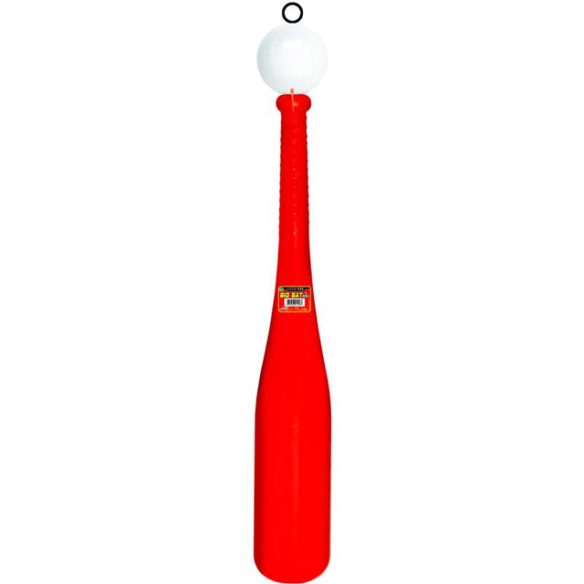 BASEBALL BIG BAT&BALLFD2