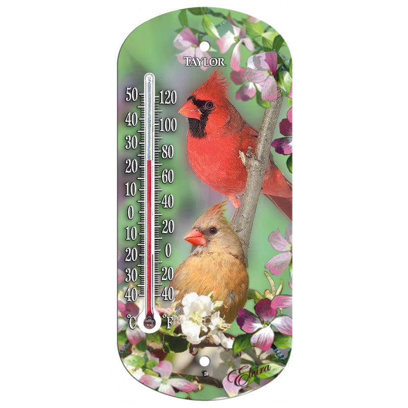 Taylor Bird Design Tube Thermometer Plastic Multicolored 8 in.
