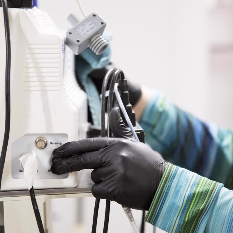 Gloveworks Nitrile Disposable Exam Gloves Medium Black Powder Free 100 pk