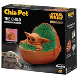 DECRTIV PLANTR STAR WARS