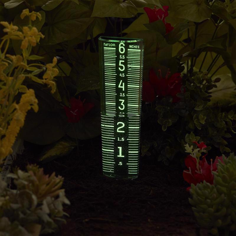 Taylor ClearVu Glow in the Dark Rain Gauge/Sprinkler Ground 1.18 in. W X 2.76 in. L