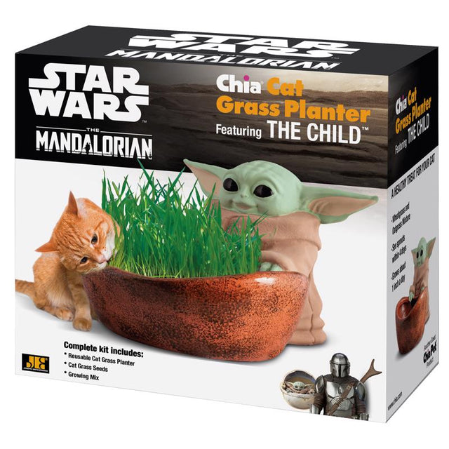 DECR PLANTR STAR WAR 1PK