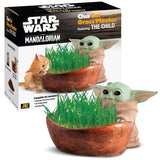 Chia Pet Star Wars Decorative Planter Terracotta Clay 1 pk
