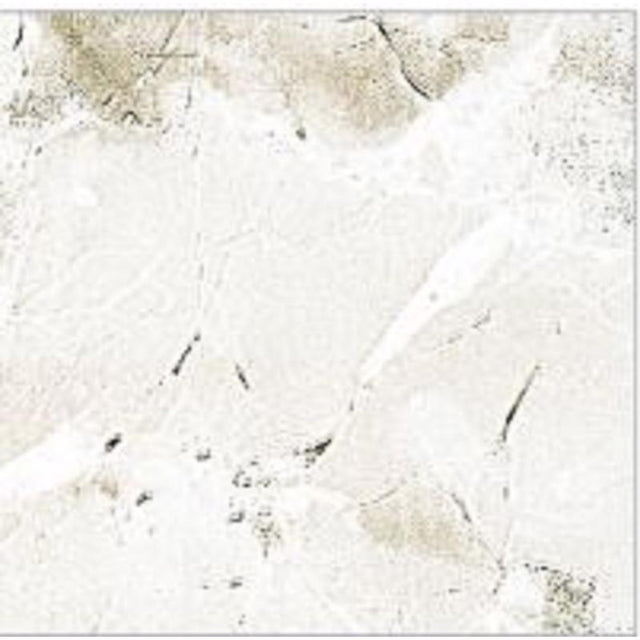 SELF ADHESIVE VNY 9'X18"