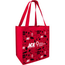 ACE CMN REUSABLE BAG