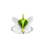 Dreamfarm Clear/Green Silicone/Polypropylene Savel