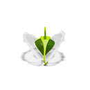 Dreamfarm Clear/Green Silicone/Polypropylene Savel