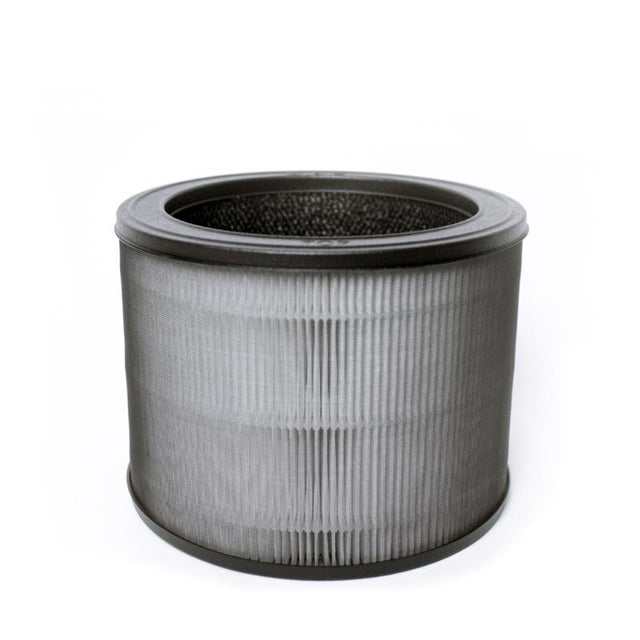 RPLC CRBN FLTR RND 6"