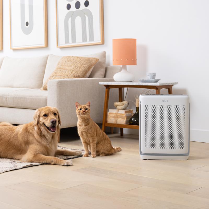 Levoit Vital 200S Carbon Smart Air Purifier 380 sq ft