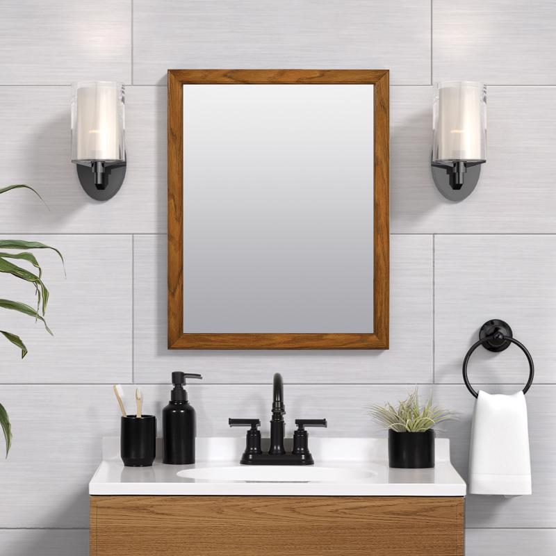 Zenna Home 25 in. H X 20 in. W Bathroom Mirror Matte Brown