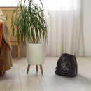 Vornado VH240+ Electric Whole Room Space Heater