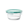 OXO Good Grips 4 cups Clear Food Container and Lid 1 pk