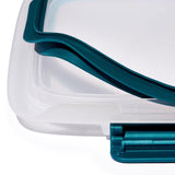 OXO Good Grips 4.1 cups Divided Food Container 1 pk