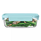 Bentgo Food Storage Container 1 pk