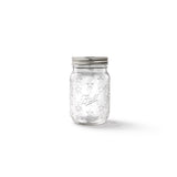 Ball Regular Mouth Canning Jar 16 oz 4 pk