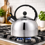Core Home Silver Stainless Steel 2.5 L Tea Kettle