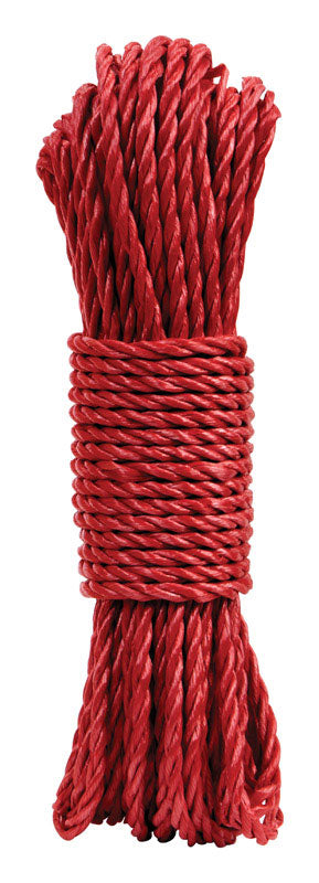 Diamond Visions 0.25 in. D X 72 ft. L Assorted Twisted Poly Rope