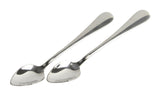 GRAPEFRUIT SPOONS 2PK